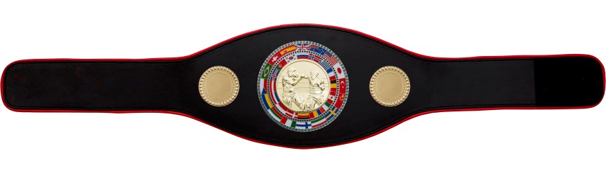 BOXING CHAMPIONSHIP BELT-PROFLAG/FLAG/G/BOXG-7 COLOURS